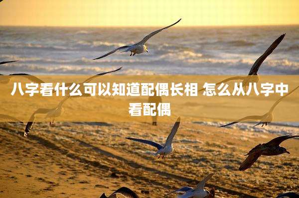 八字看什么可以知道配偶长相 怎么从八字中看配偶