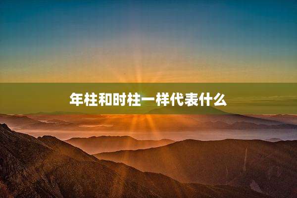 年柱和时柱一样代表什么