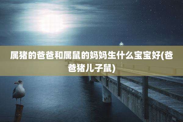 属猪的爸爸和属鼠的妈妈生什么宝宝好(爸爸猪儿子鼠)