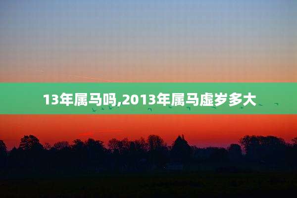 13年属马吗,2013年属马虚岁多大