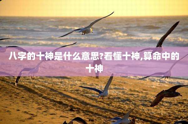 八字的十神是什么意思?看懂十神,算命中的十神