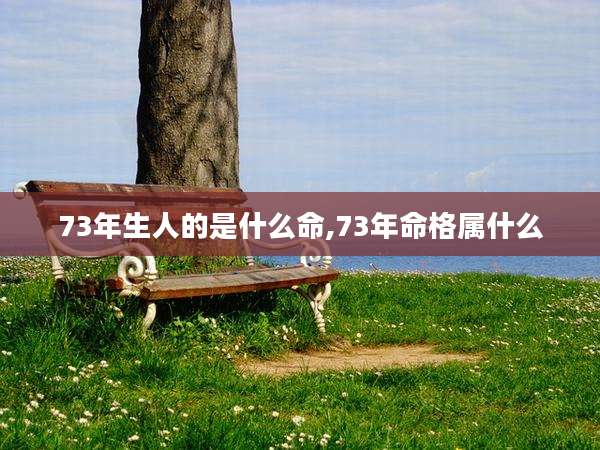 73年生人的是什么命,73年命格属什么