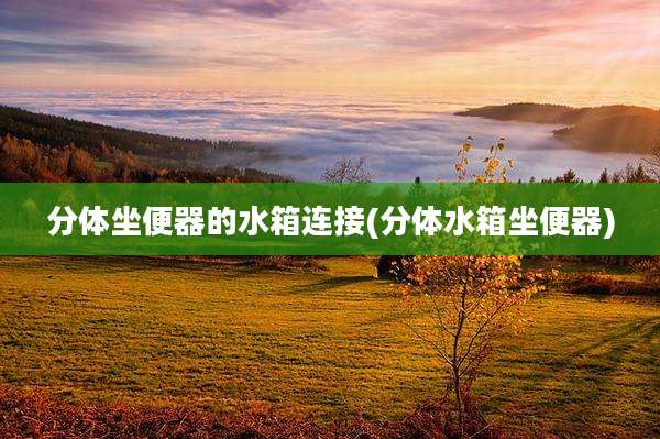 分体坐便器的水箱连接(分体水箱坐便器)