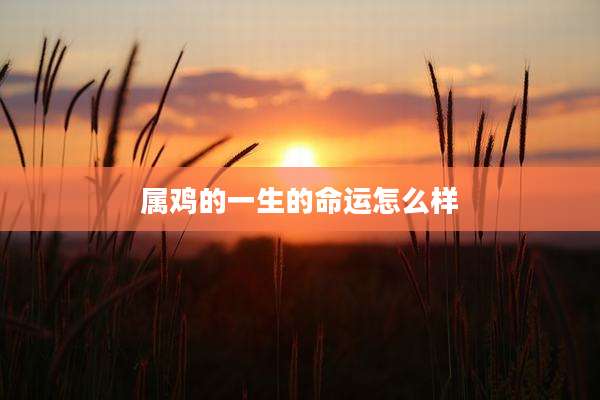 属鸡的一生的命运怎么样