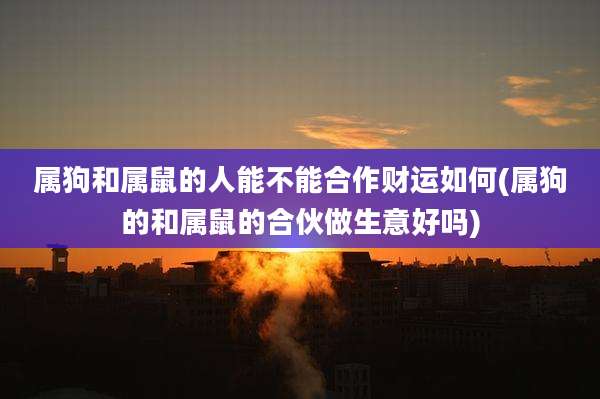 属狗和属鼠的人能不能合作财运如何(属狗的和属鼠的合伙做生意好吗)
