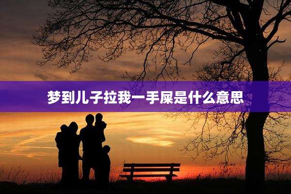 梦到儿子拉我一手屎是什么意思