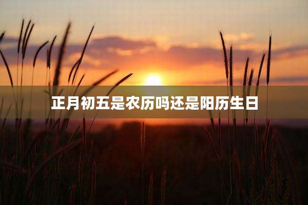 正月初五是农历吗还是阳历生日