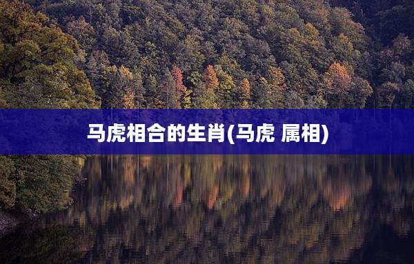 马虎相合的生肖(马虎 属相)