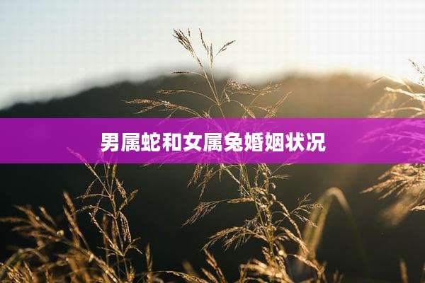 男属蛇和女属兔婚姻状况