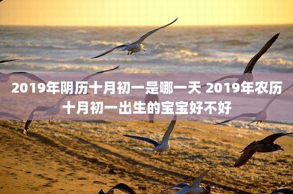 2019年阴历十月初一是哪一天 2019年农历十月初一出生的宝宝好不好
