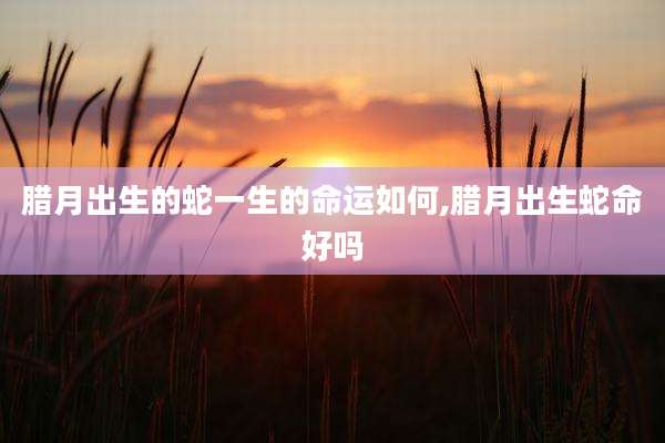 腊月出生的蛇一生的命运如何,腊月出生蛇命好吗