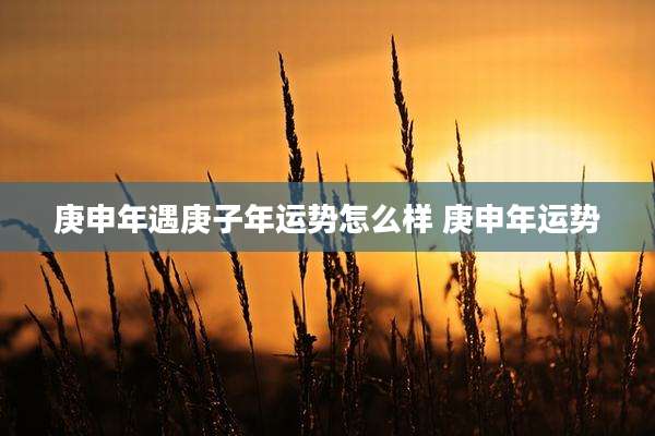 庚申年遇庚子年运势怎么样 庚申年运势