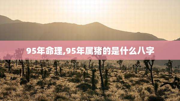 95年命理,95年属猪的是什么八字