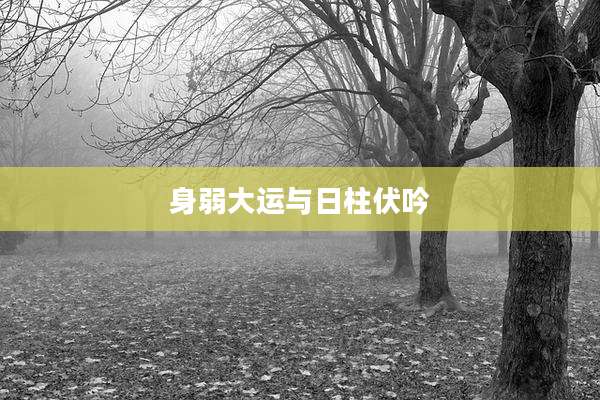 身弱大运与日柱伏吟