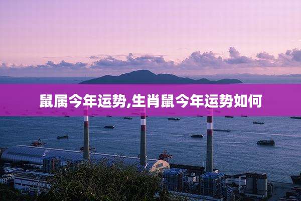 鼠属今年运势,生肖鼠今年运势如何