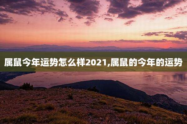 属鼠今年运势怎么样2021,属鼠的今年的运势
