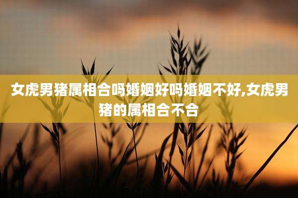 女虎男猪属相合吗婚姻好吗婚姻不好,女虎男猪的属相合不合