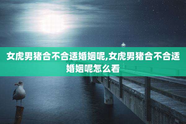女虎男猪合不合适婚姻呢,女虎男猪合不合适婚姻呢怎么看