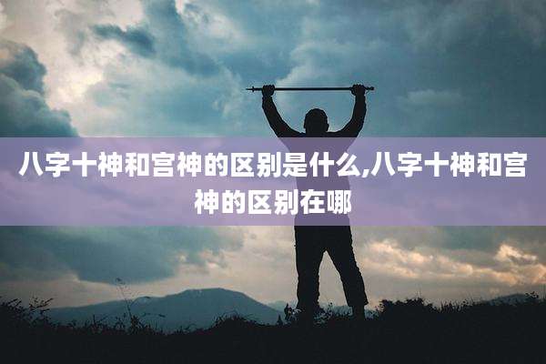 八字十神和宫神的区别是什么,八字十神和宫神的区别在哪