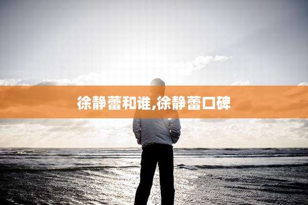 徐静蕾和谁,徐静蕾口碑