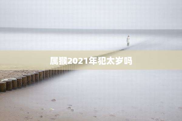 属猴2021年犯太岁吗