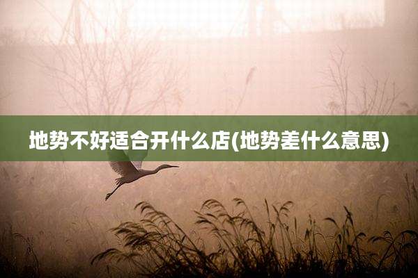 地势不好适合开什么店(地势差什么意思)