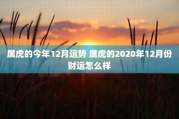 属虎的今年12月运势 属虎的2020年12月份财运怎么样