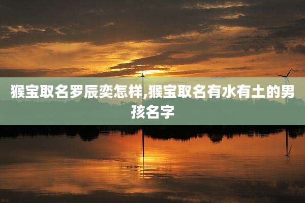 猴宝取名罗辰奕怎样,猴宝取名有水有土的男孩名字