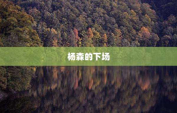 杨森的下场