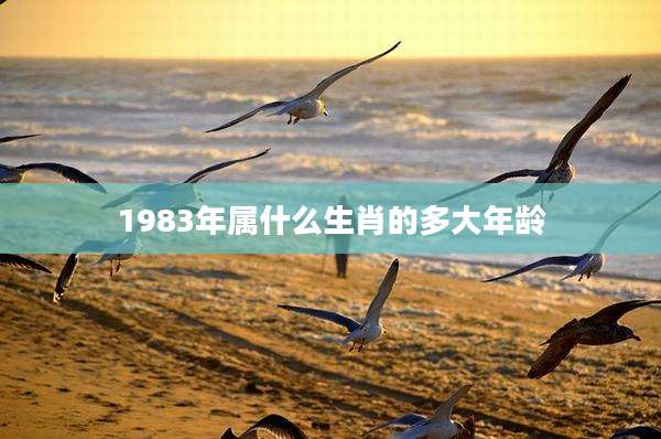 1983年属什么生肖的多大年龄