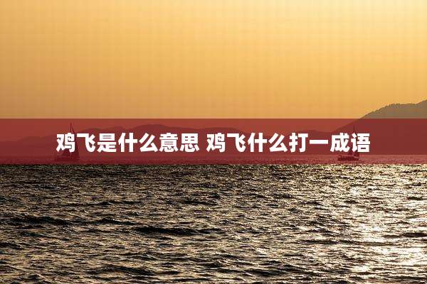鸡飞是什么意思 鸡飞什么打一成语