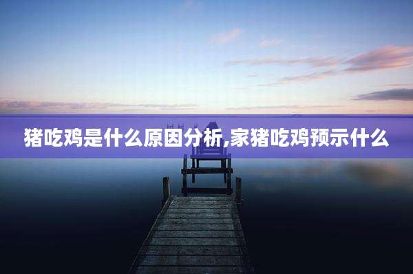猪吃鸡是什么原因分析,家猪吃鸡预示什么