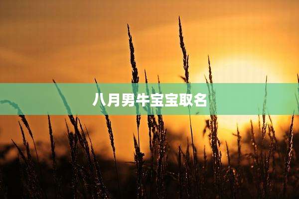 八月男牛宝宝取名