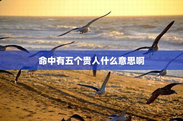 命中有五个贵人什么意思啊