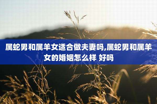 属蛇男和属羊女适合做夫妻吗,属蛇男和属羊女的婚姻怎么样 好吗