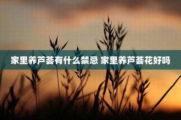 家里养芦荟有什么禁忌 家里养芦荟花好吗