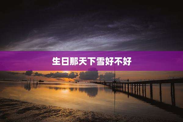 生日那天下雪好不好