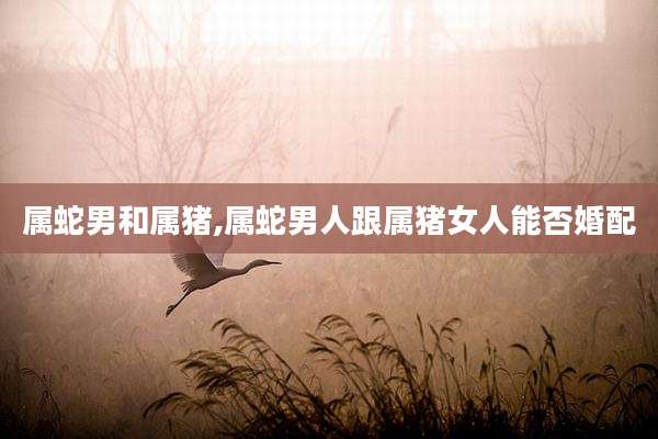 属蛇男和属猪,属蛇男人跟属猪女人能否婚配