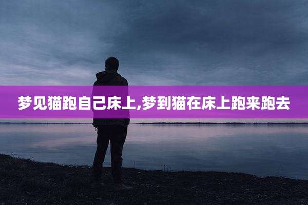 梦见猫跑自己床上,梦到猫在床上跑来跑去