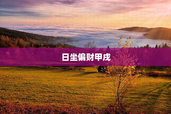 日坐偏财甲戌