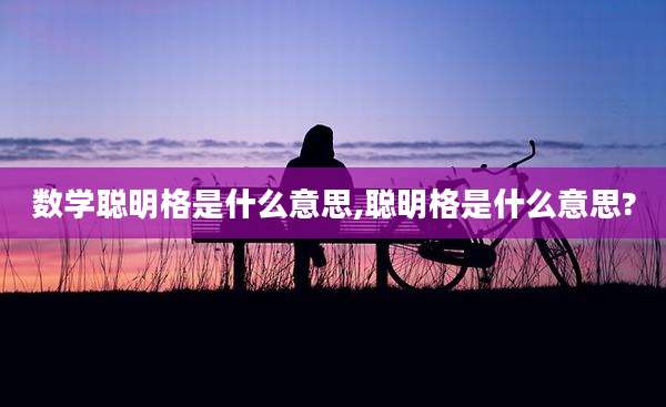 数学聪明格是什么意思,聪明格是什么意思?