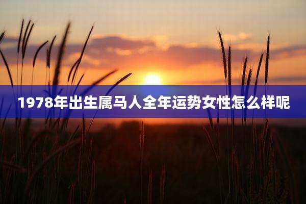 1978年出生属马人全年运势女性怎么样呢