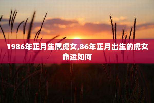 1986年正月生属虎女,86年正月出生的虎女命运如何