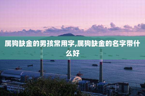 属狗缺金的男孩常用字,属狗缺金的名字带什么好
