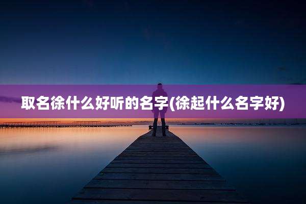 取名徐什么好听的名字(徐起什么名字好)