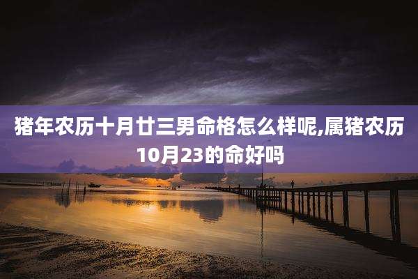 猪年农历十月廿三男命格怎么样呢,属猪农历10月23的命好吗