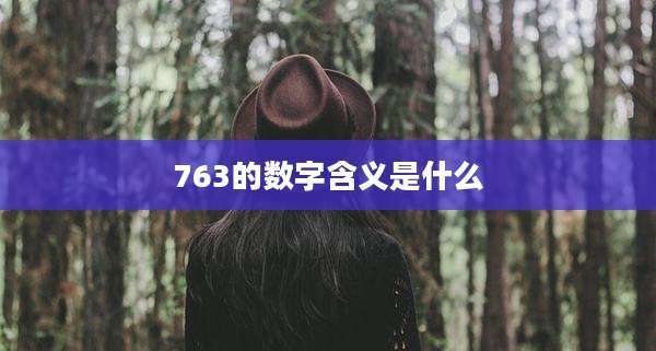 763的数字含义是什么