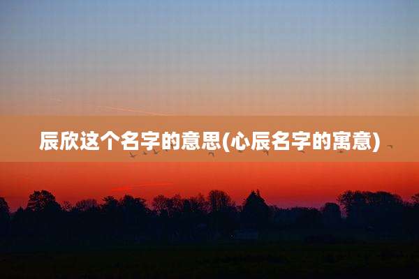 辰欣这个名字的意思(心辰名字的寓意)