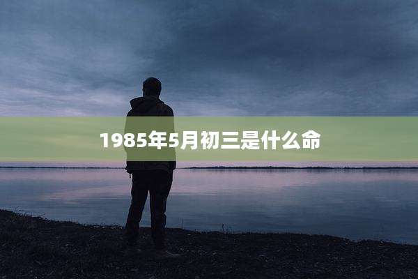 1985年5月初三是什么命