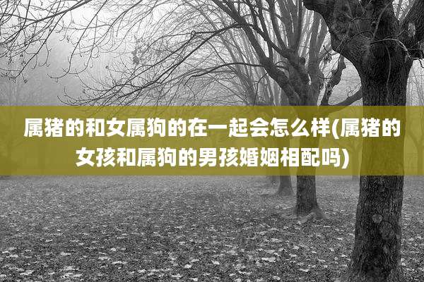 属猪的和女属狗的在一起会怎么样(属猪的女孩和属狗的男孩婚姻相配吗)